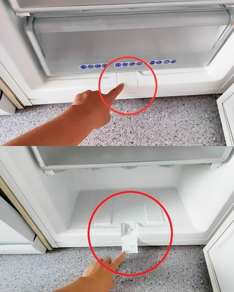 „Tajemnice zamrażarki: Jak co 3 miesiące odkryć kulinarne cuda?”