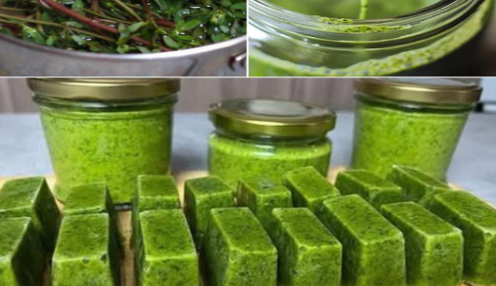 Portulaka – superżywność, którą uważasz za chwast!