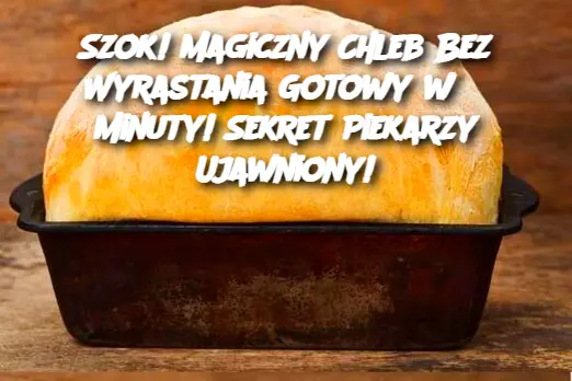 Szok! Magiczny Chleb Bez Wyrastania Gotowy w 3 Minuty! Sekret Piekarzy Ujawniony!