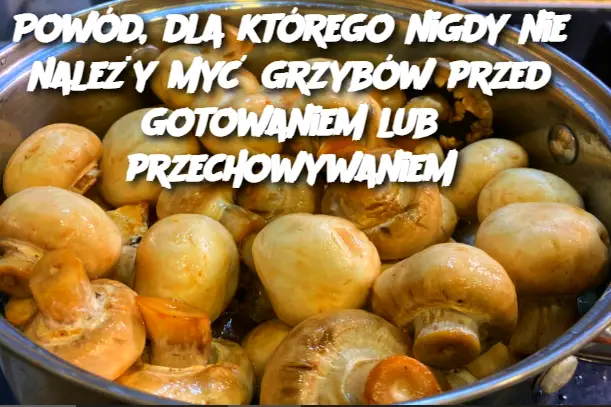 Powód, dla którego nigdy nie należy myć grzybów przed gotowaniem lub przechowywaniem