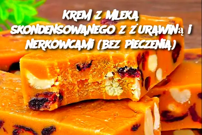 Krem z mleka skondensowanego z żurawiną i nerkowcami (bez pieczenia)