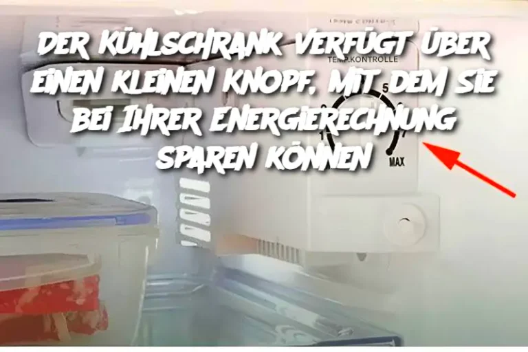 Der Kühlschrank verfügt über einen kleinen Knopf, mit dem Sie bei Ihrer Energierechnung sparen können