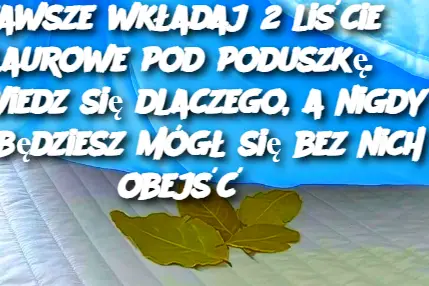 Zawsze wkładaj 2 liście laurowe pod poduszkę. Dowiedz się dlaczego, a nigdy nie będziesz mógł się bez nich obejść