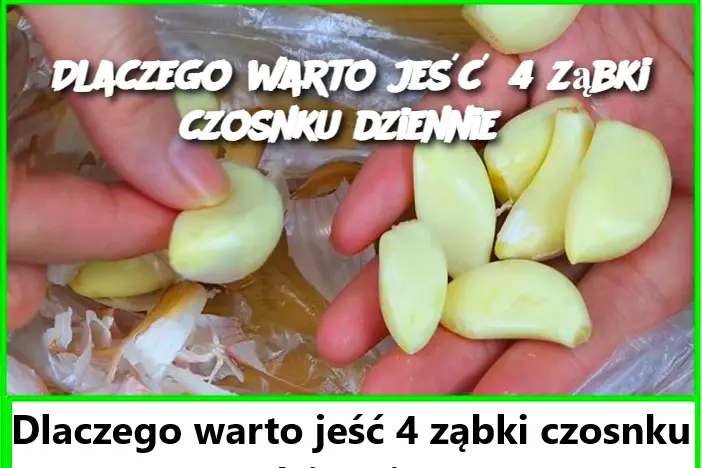 Dlaczego warto jeść 4 ząbki czosnku dziennie?