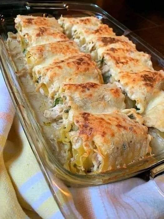 Roladki Alfredo Lasagne z Kremowym Kurczakiem