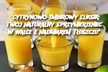 “Cytrynowo-Imbirowy Eliksir: Twój Naturalny Sprzymierzeniec w Walce z Nadmiarem Tłuszczu”