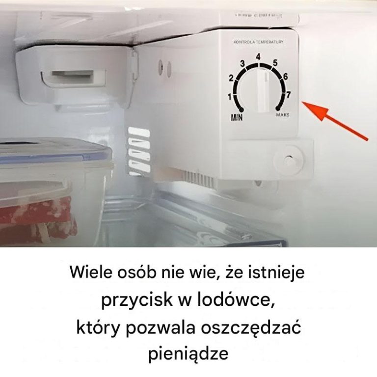 Der Kühlschrank verfügt über einen kleinen Knopf, mit dem Sie bei Ihrer Energierechnung sparen können