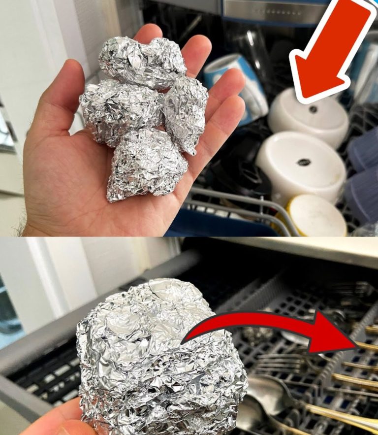 Kulki aluminiowe w kuchni: Niezwykłe triki na przechowywanie i gotowanie, które Cię zaskoczą!”