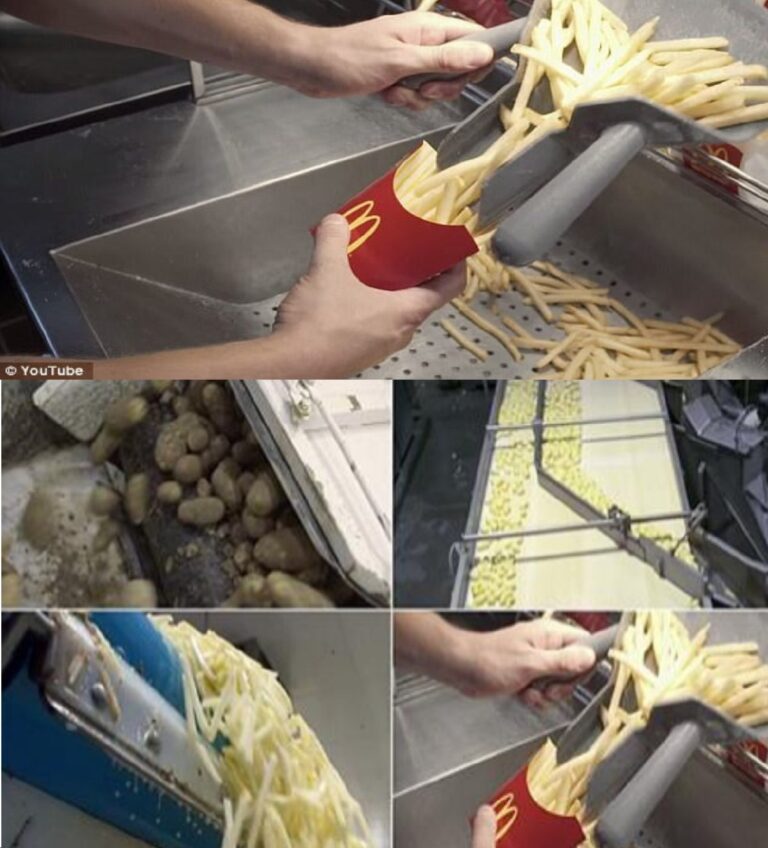 Silikon i ropa naftowa znalezione w frytkach McDonald’s