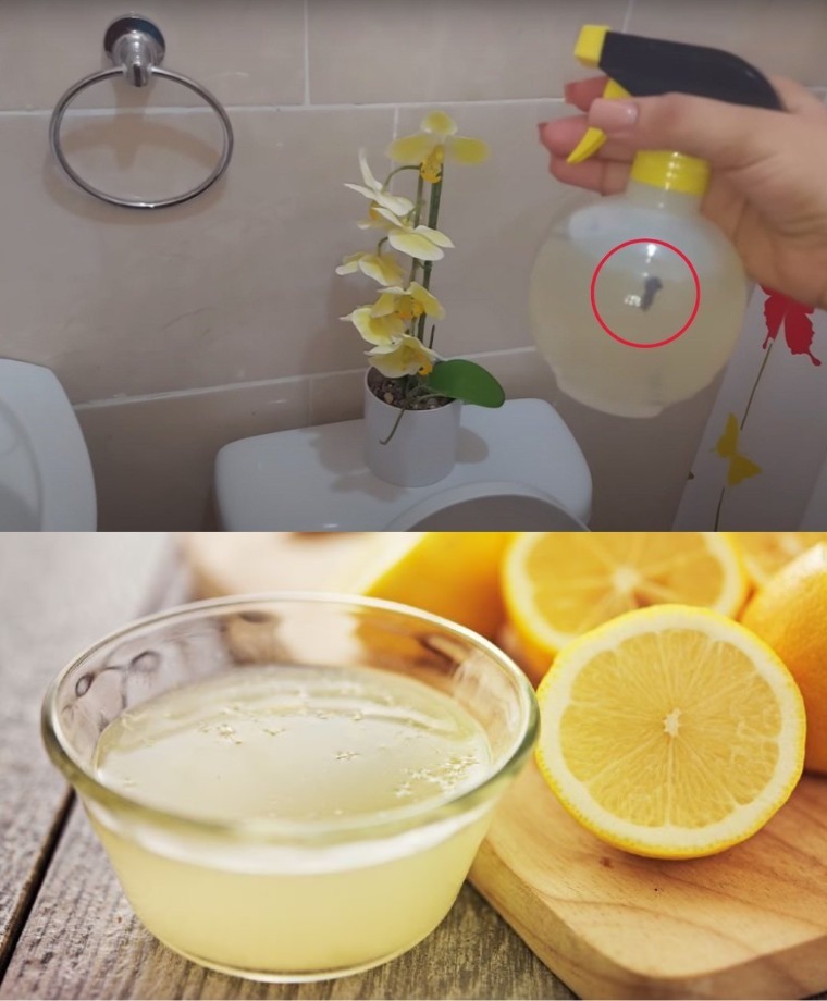 Naturalny neutralizator zapachów: Domowy spray przeciw zapachowi moczu – prosty, tani i skuteczny