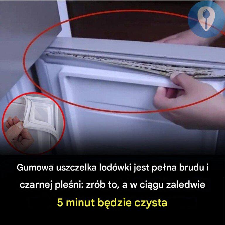 Jak czyścić uszczelkę gumową lodówki