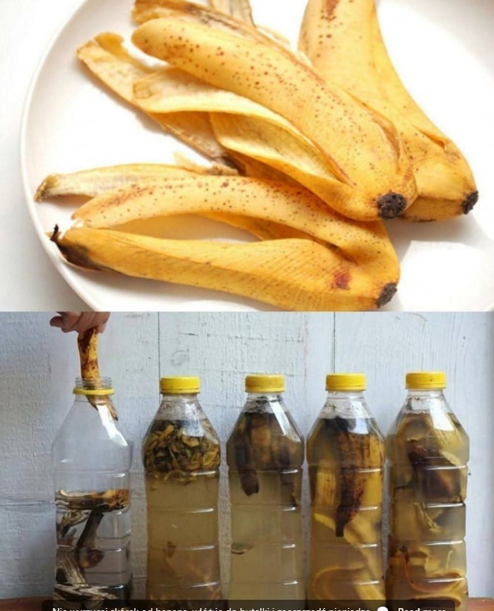 Tytuł: Nie wyrzucaj skórek od banana – zrób z nich naturalny nawóz i zaoszczędź pieniądze!
