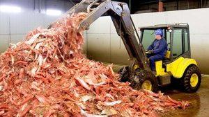„20 Produktów Spożywczych, Które Zmienią Twoje Podejście do Zakupów Po Poznaniu Ich Producentów