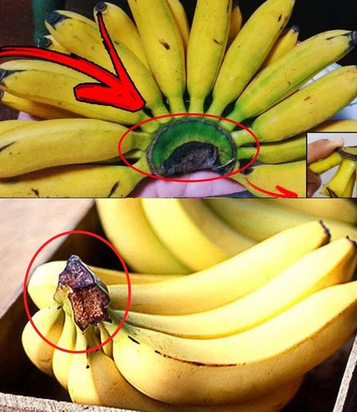 Zaskakująca część banana, którą warto zachować: poznaj jej niezwykłe właściwości