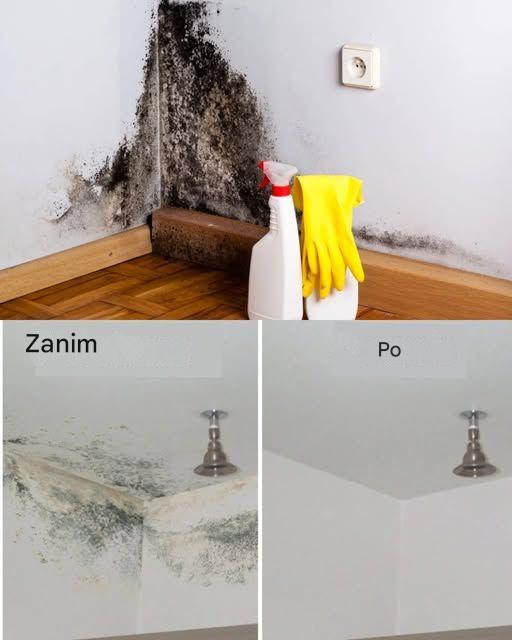 Dom Bez Pleśni: Naturalne Metody Usuwania Grzyba Bez Chemii
