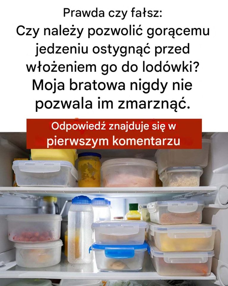 Prawda czy fałsz: Czy należy pozwolić gorącemu jedzeniu ostygnąć przed włożeniem go do lodówki?