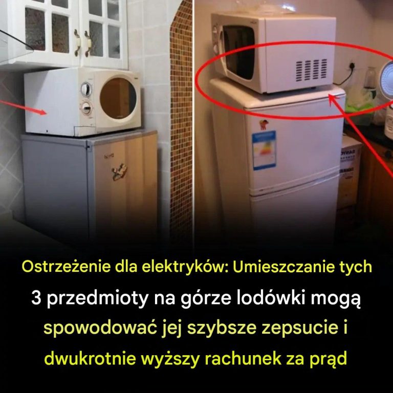 Uwaga na Lodówkę! 3 Przedmioty, Których Nigdy Nie Powinno się Na Niej Przechowywać
