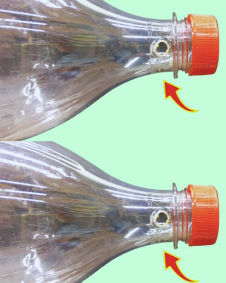 Nie wyrzucaj plastikowych butelek bez odkrycia tej domowej sztuczki