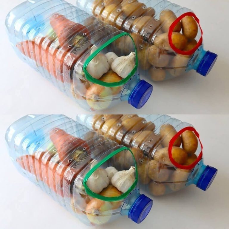 Sprytne i Ekologiczne Wykorzystanie Plastikowych Butelek w Kuchni”