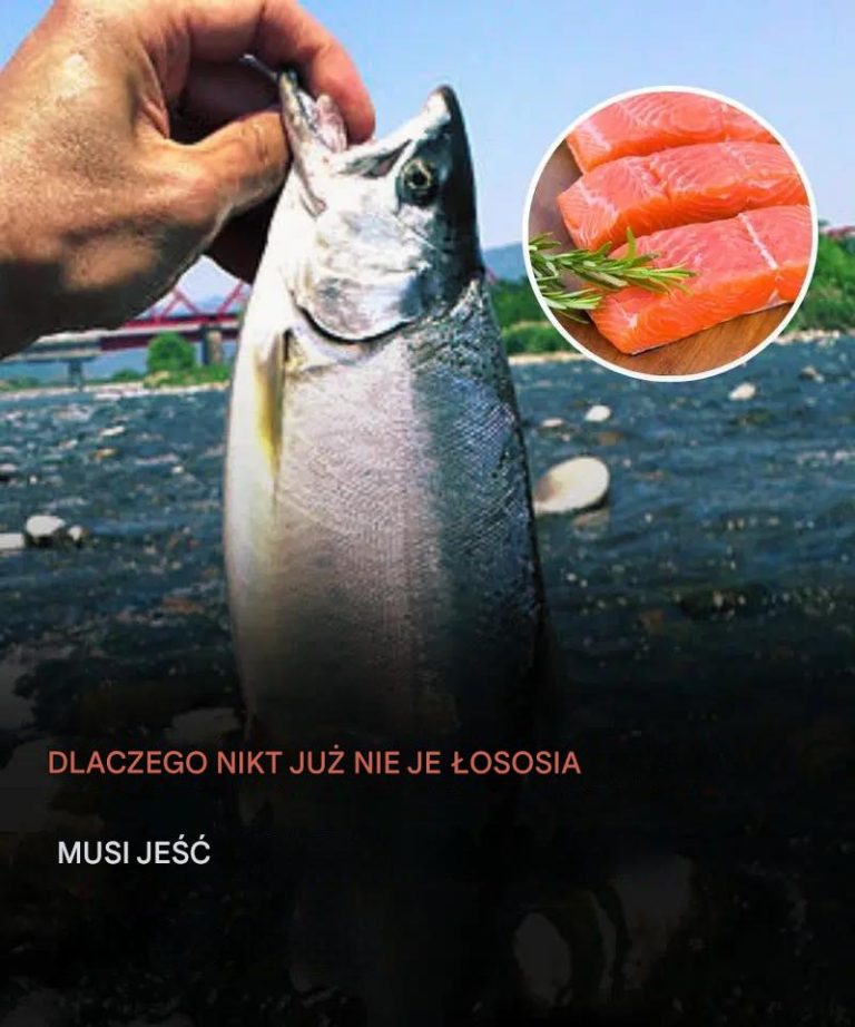 Dlaczego nikt już nie powinien jeść łososia