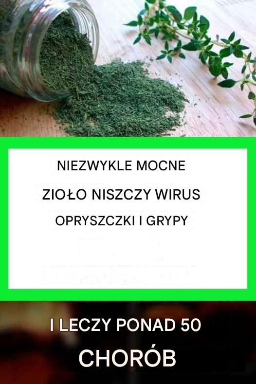 NIEZWYKLE MOCNE ZIOŁO! NISZCZY PACIORKOWCE, OPRYSZCZKĘ, CANDIDĘ, WIRUS GRYPY I LECZY PONAD 50 CHORÓB!