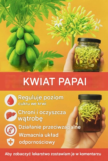 Według badań naukowych ekstrakt z liści papai pomaga spowolnić wzrost guzów nowotworowych.