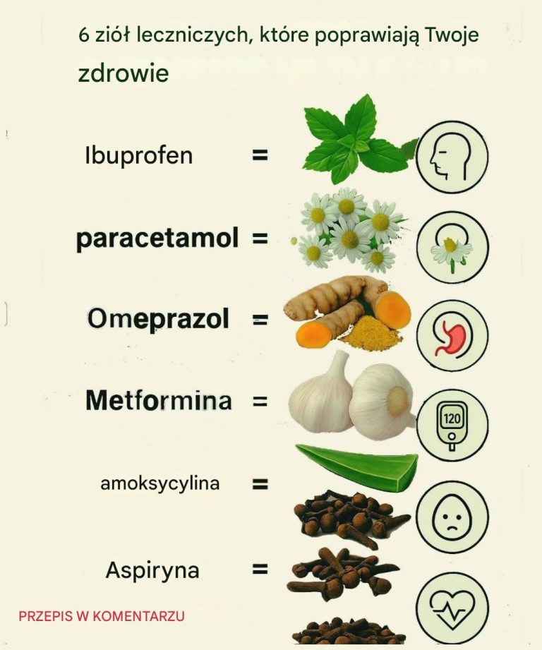 Zioła lecznicze: starożytne przepisy na codzienne dobre samopoczucie