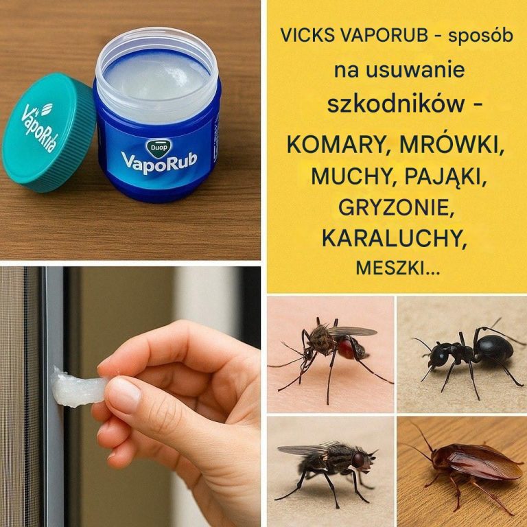 Vicks VapoRub: zaskakujący sposób na odstraszanie szkodników