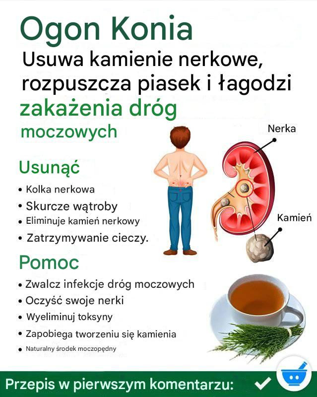 Napar ze skrzypu polnego i pietruszki oczyszczający organizm