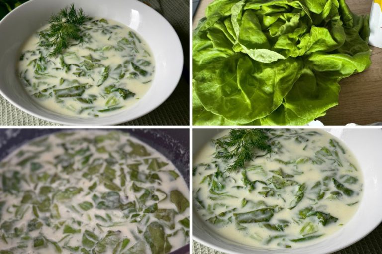 Tradycyjna zupa z sałaty – Najlepszy przepis na zdrową, lekką i aromatyczną zupę