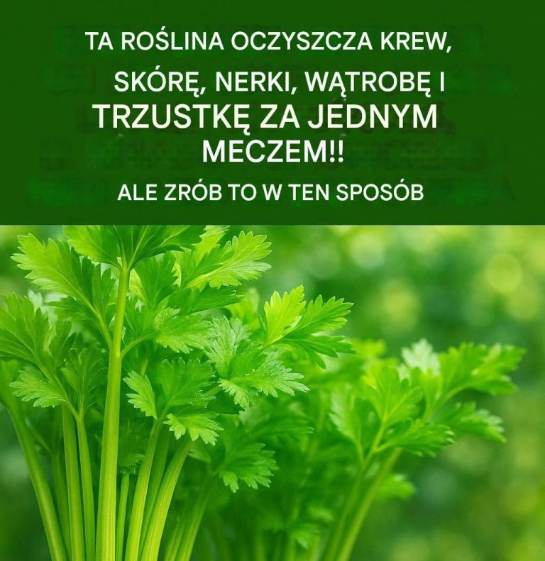Seler, cytryna i proszek imbirowy do spalania tłuszczu