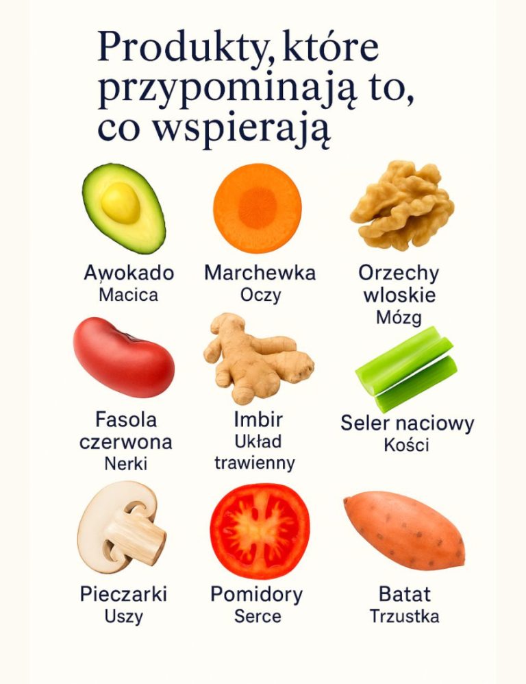 Natura jest najlepszym wynalazcą – produkty, które przypominają to, co wspierają