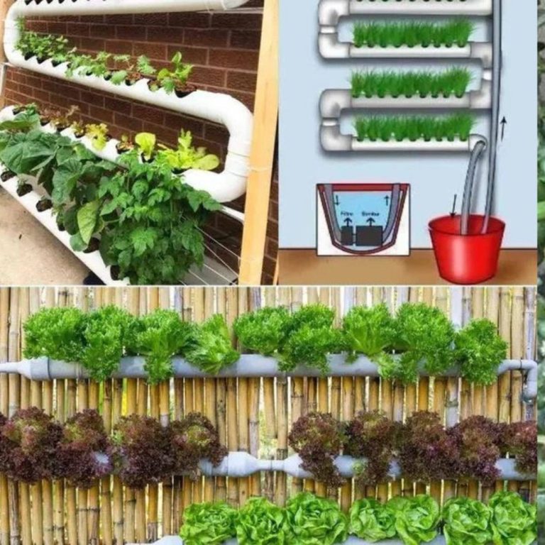 System hydroponiczny DIY: Stwórz własny system w domu