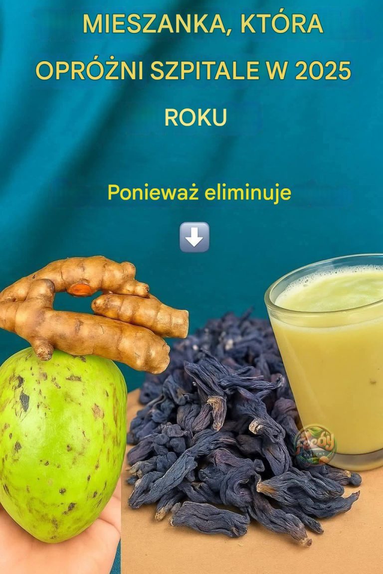 E MIX, KTÓRY BĘDZIE ZNAJDOWAŁ SIĘ W SZPITALACH W 2025 ROKU