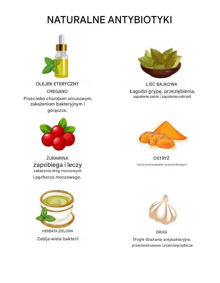 Naturalne antybiotyki: sprzymierzeńcy zdrowia z natury