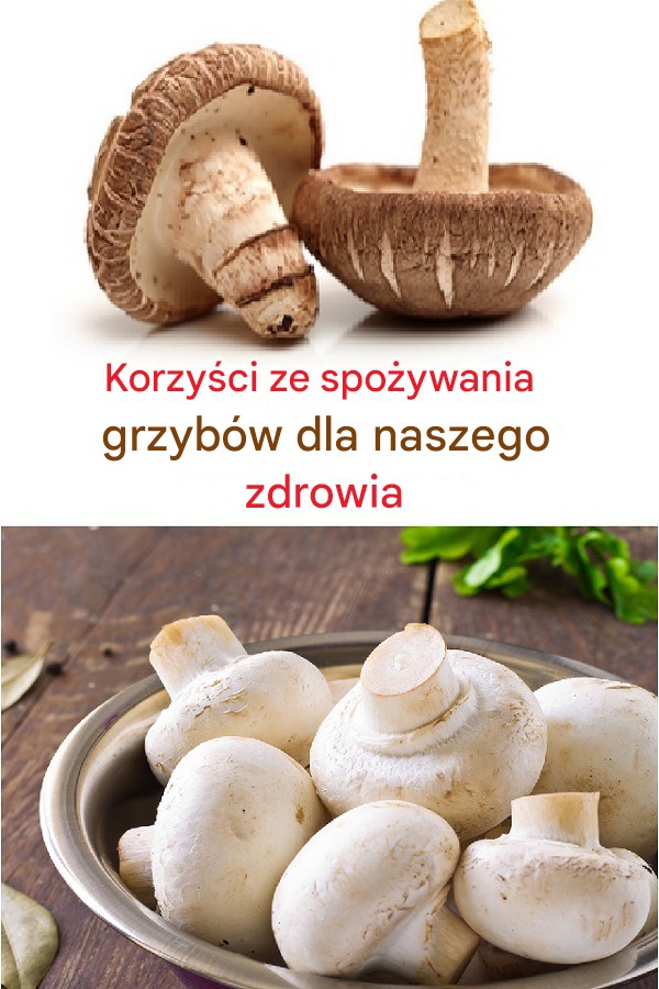 Korzyści ze spożywania grzybów dla naszego zdrowia