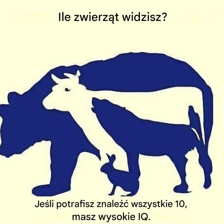 Czy potrafisz znaleźć 10 zwierząt na obrazku?