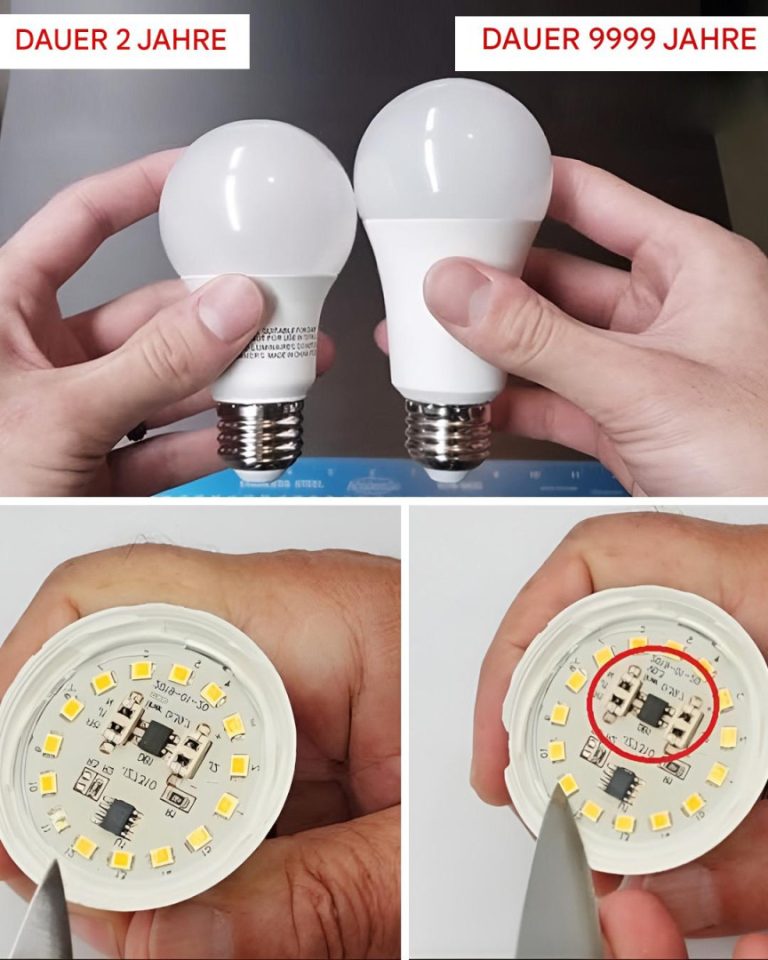 Dzięki tej funkcji Twoja lampa LED będzie wyświetlana w długim języku