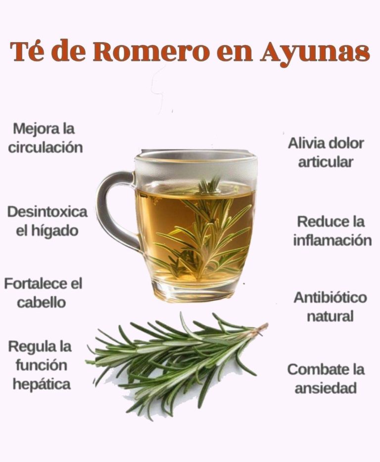 El Té de Romero: Beneficios, Usos y Preparación »