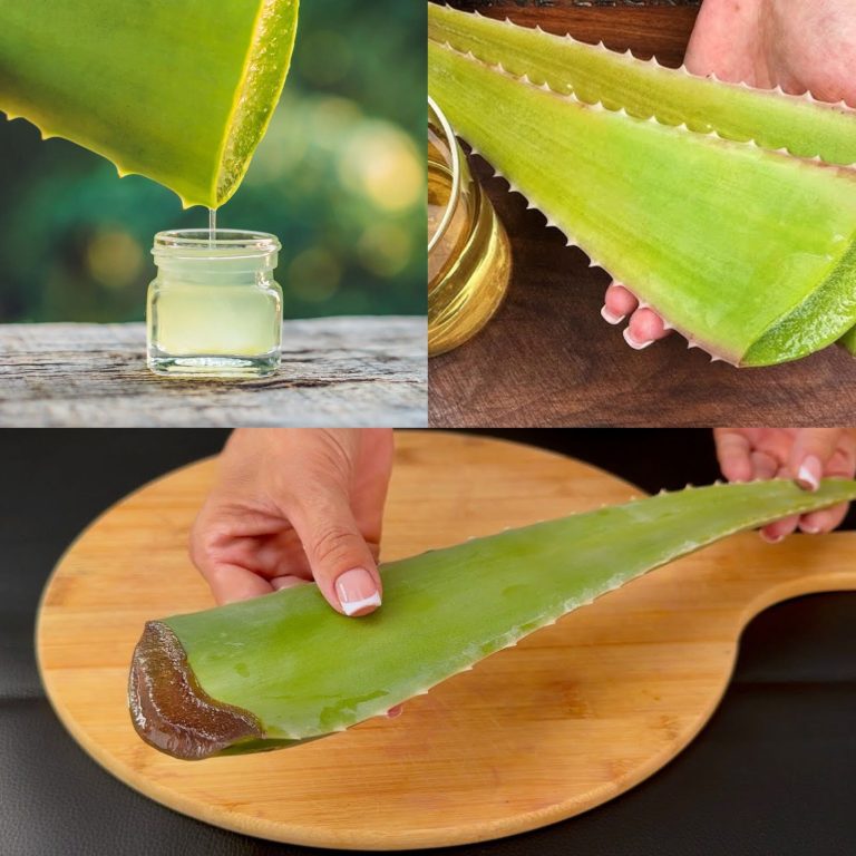 ¡1000 veces más potente que el bótox! ¡Colágeno natural de aloe vera! Borra todas las arrugas