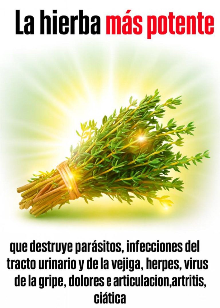 La hierba más potente que acaba con los parásitos , infecciones urinarias y herpes