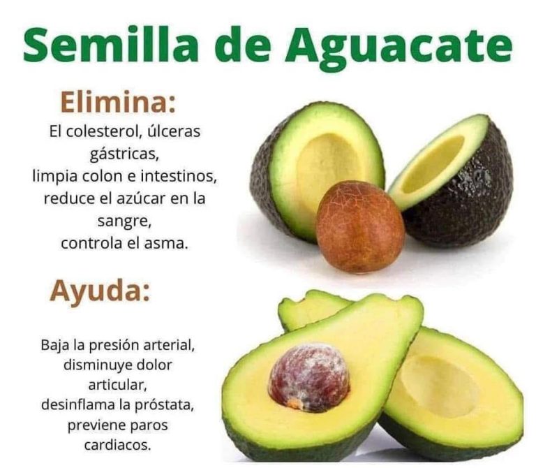 13 Razones Para No Botar La Semilla del Aguacate. Lo Mejor del Aguacate…ver más