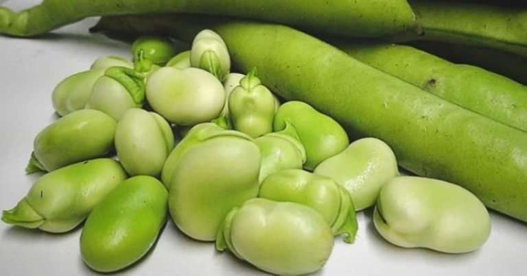 Fasola: wzmacnia kości, wykorzystuje cukry i cholesterol i poprawia pamięć