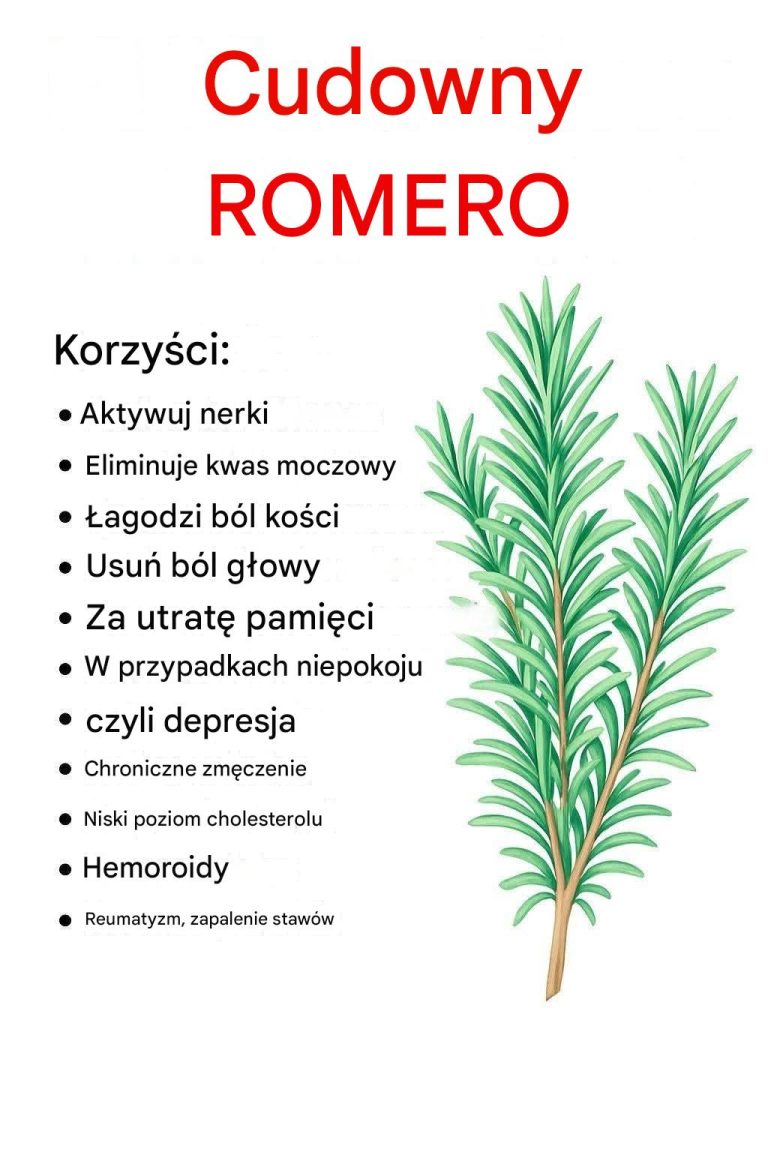 Czy rozmaryn może poprawić funkcje poznawcze i pamięć