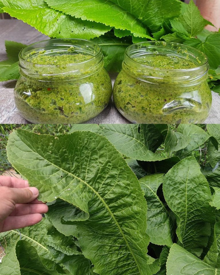 Niezwykłe korzyści z liści chrzanu: Twój przewodnik po zdrowiu i kulinarnej kreatywności