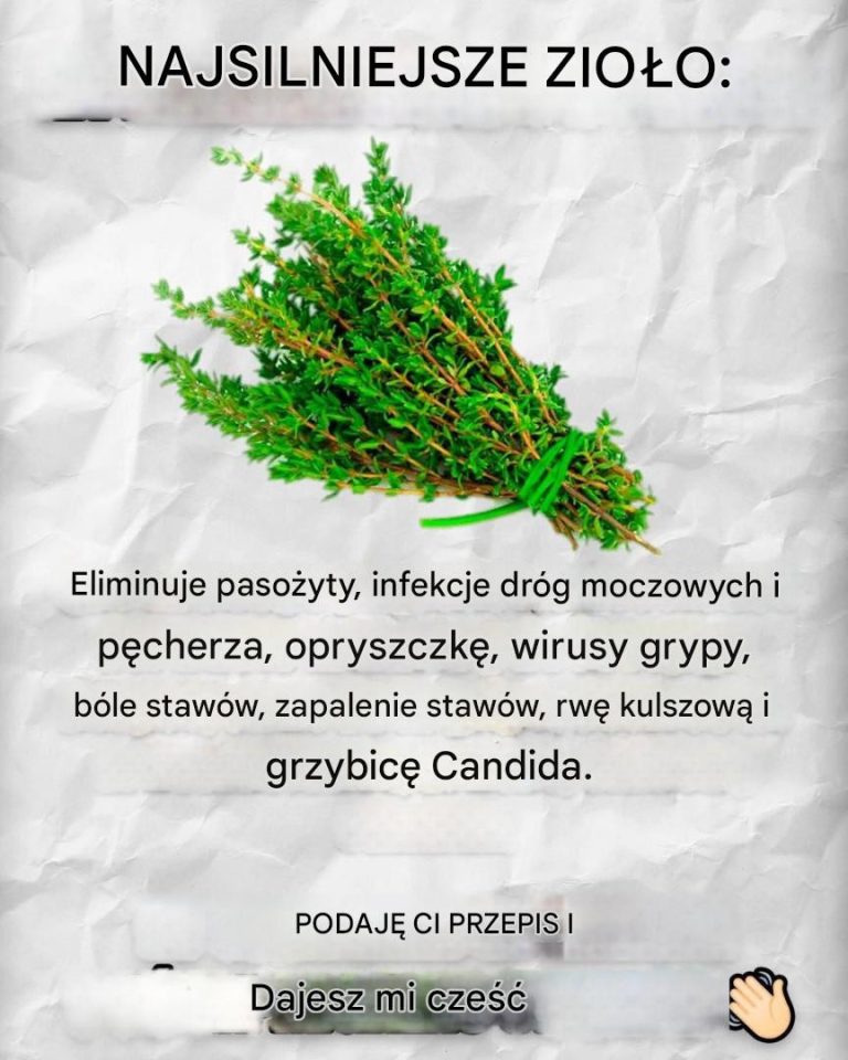 Przepisy, lekarstwa i wiele więcej