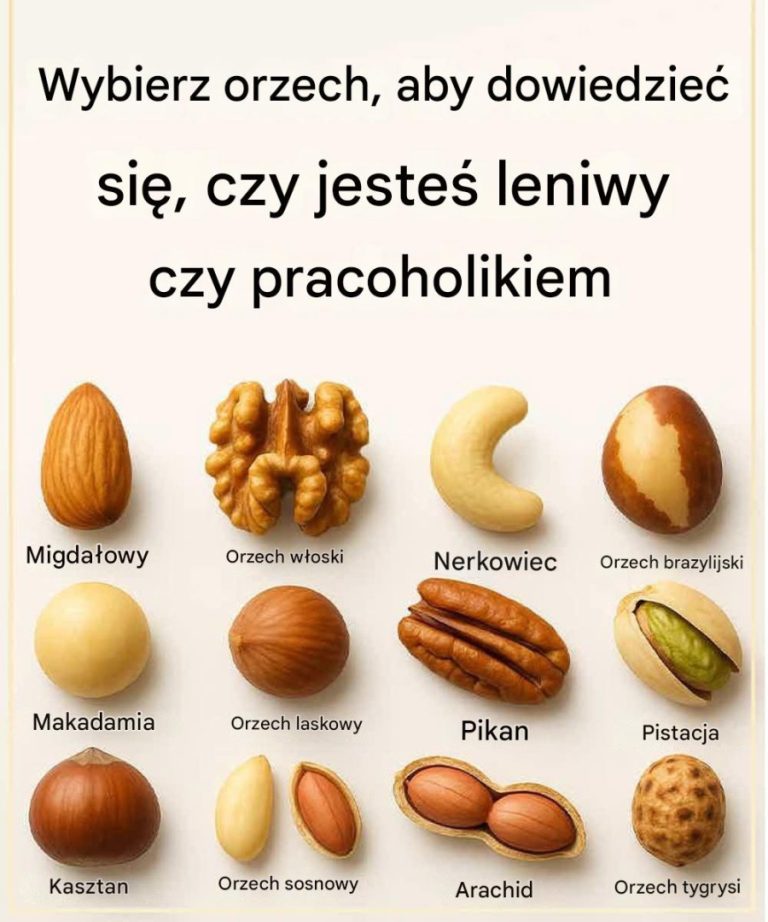 Wybierz orzech i sprawdź, czy jesteś leniwy czy pracoholikiem