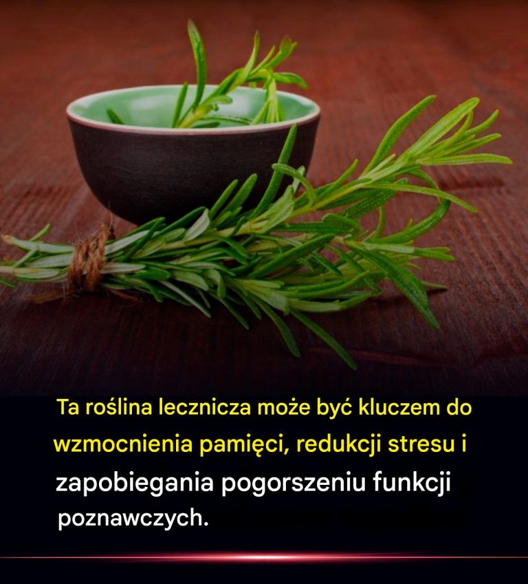 Ta roślina lecznicza może być kluczem do wzmocnienia pamięci, redukcji stresu i zapobiegania pogorszeniu funkcji poznawczych.