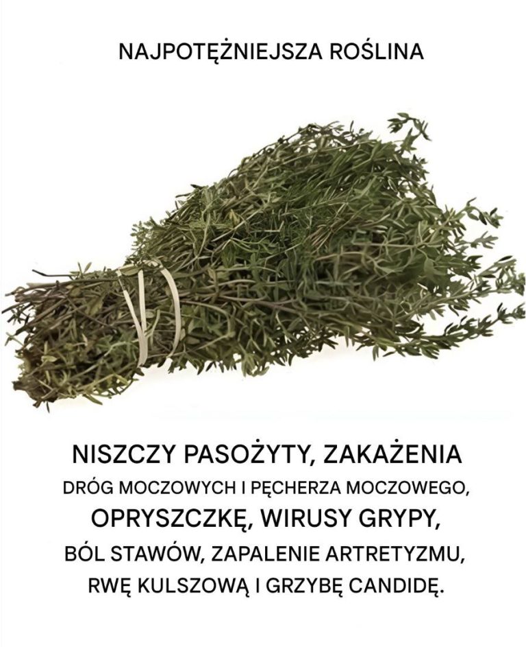 Należy do najpotężniejszych roślin na świecie.